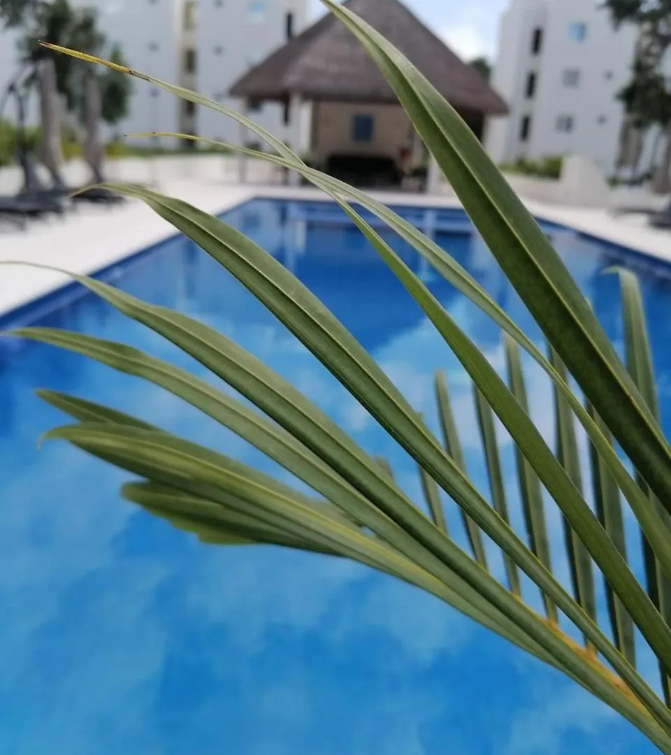 Departamento Itzae Apartment Playa del Carmen Mexico